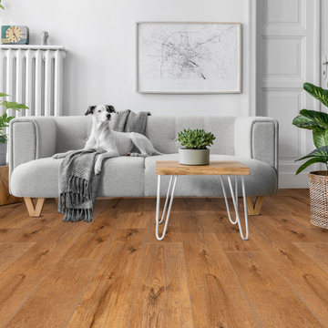 Champlain, Lakeview Collection