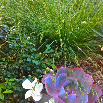 Small Bungalow Landscape