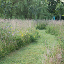 Pastures