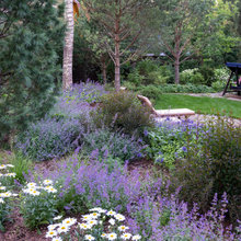 Shade Garden