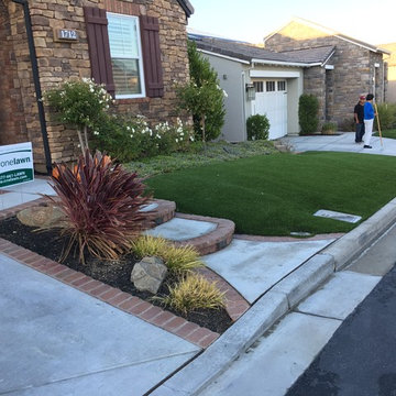 Contemporary Front Yard Installation