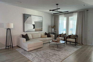 Living room - modern living room idea in Miami