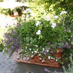 Annual Custom Containers - Outdoor Pots And Planters