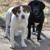 Ann Hamer's photo