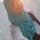 Marwa Belal