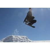 Con Caccamo's photo
