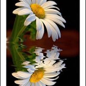 JJ Dermek's photo
