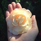 Kaitlin Geiger's photo