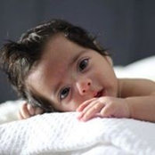 Joe Salameh's photo