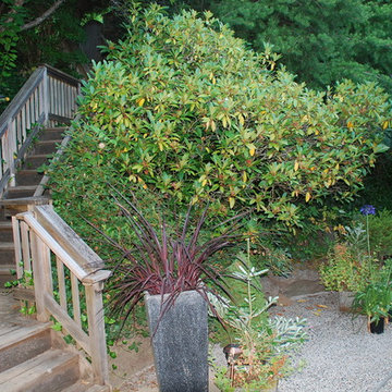 My Houzz: Portland Home Renovation Worth the 15-Year Wait