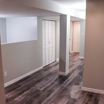 Ashford Project: Basement Renovation