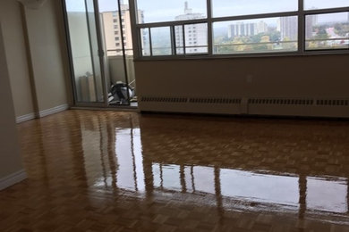 Floors sanding and staining