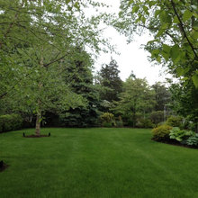 Yard / Garden