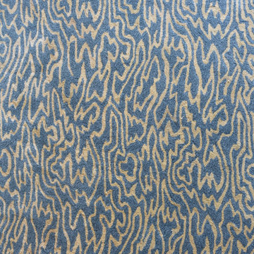 Custom Rug Design in the Foyer