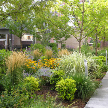 A Common Area