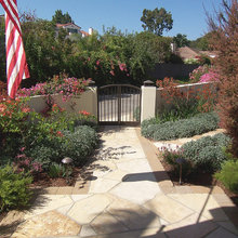 Landscape Ideas