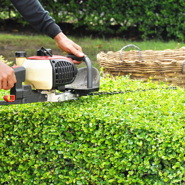 Easy Shrub Removal Lawrenceville Georgia