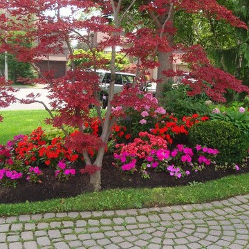 Our Work
