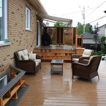 brooklyn back yard