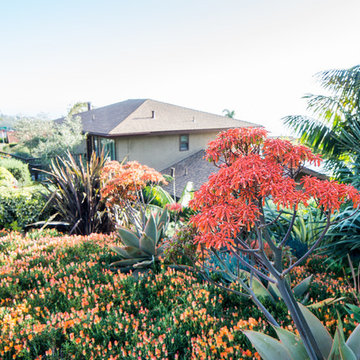 Laguna Beach Residence