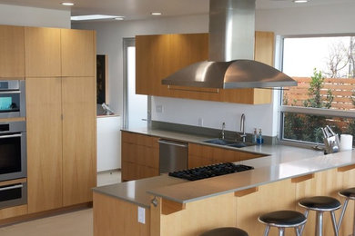 Minimalist kitchen photo in Los Angeles