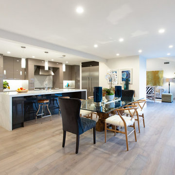 Whole House Remodel (transformation)