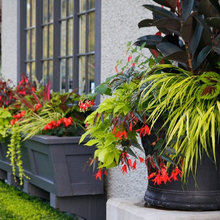 container gardening