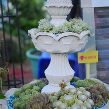 Container Gardens