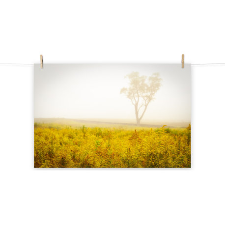 Dreams of Goldenrod and Fog Landscape Photo Unframed Wall Art Print, 12" X 16"