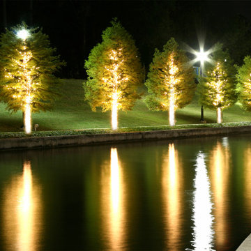 Outdoor LED Lighting