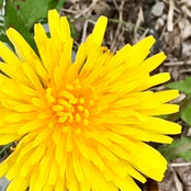 Paula Baines's photo