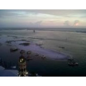 Jennifer Graves's photo