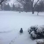 Beth Zemans's photo