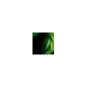 D. A.'s photo