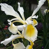 Sonja Fearn's photo