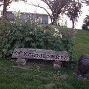 Carol Schliefert's photo
