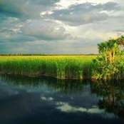 Ping DeLucia's photo
