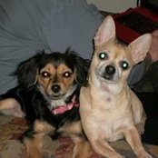 Dianne Zahn's photo