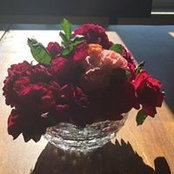 Angela Mcmeen's photo