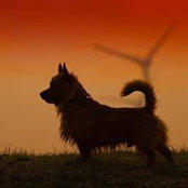 Simone Sikisaki's photo