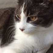 Michelle Sylvester's photo