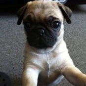 Lee McGee's photo