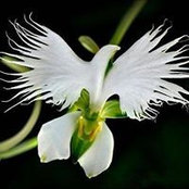 Vera Ugren's photo