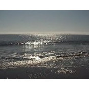 Mark Maddox's photo
