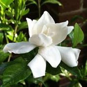 Nancy Contreras's photo