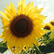 Kristin Best's photo