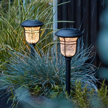 Seasonal Planter Arrangements