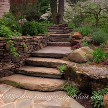 Landscape Ideas