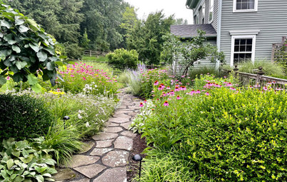 Why Your Native Plants Might Be Struggling