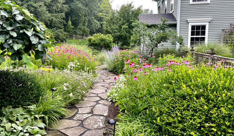 Why Your Native Plants Might Be Struggling